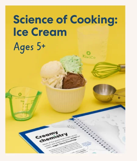 Science of Cooking: Ice Cream