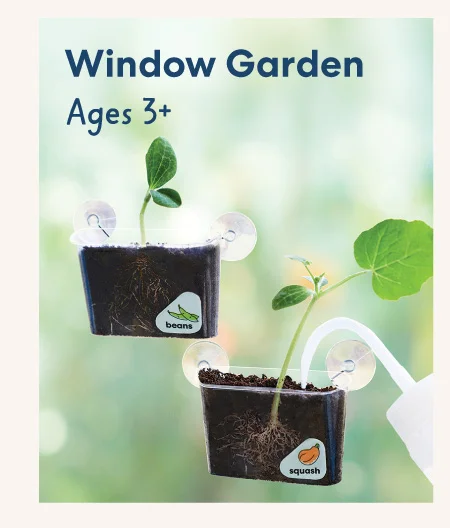 Window Garden