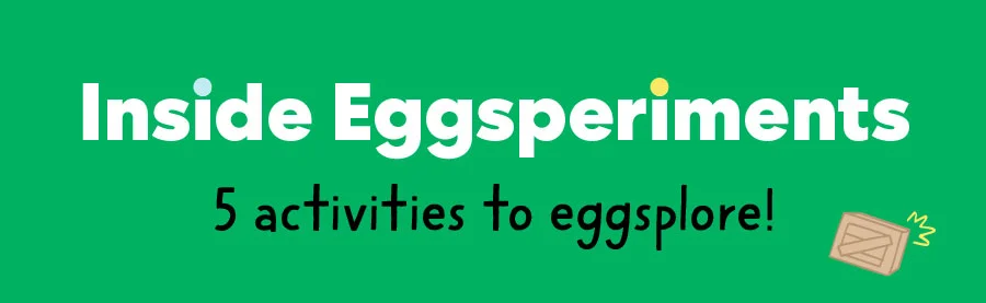 Inside Eggsperiments