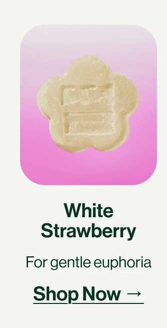 WHITE STRAWBERRY