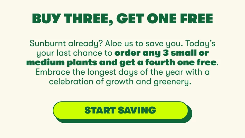 BUY THREE, GET ONE FREE