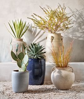 planters