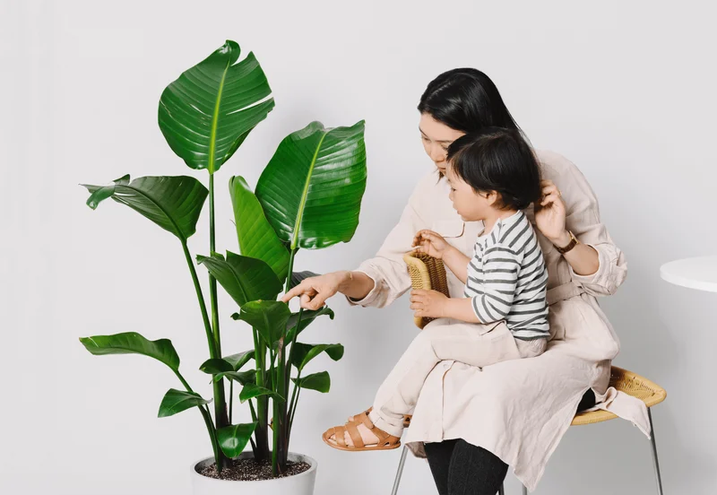 Save up to 30% on all plants!