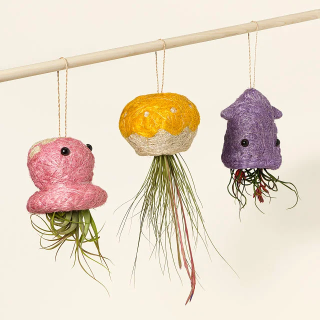 Coconut Fiber Hanging Aquatic Planters