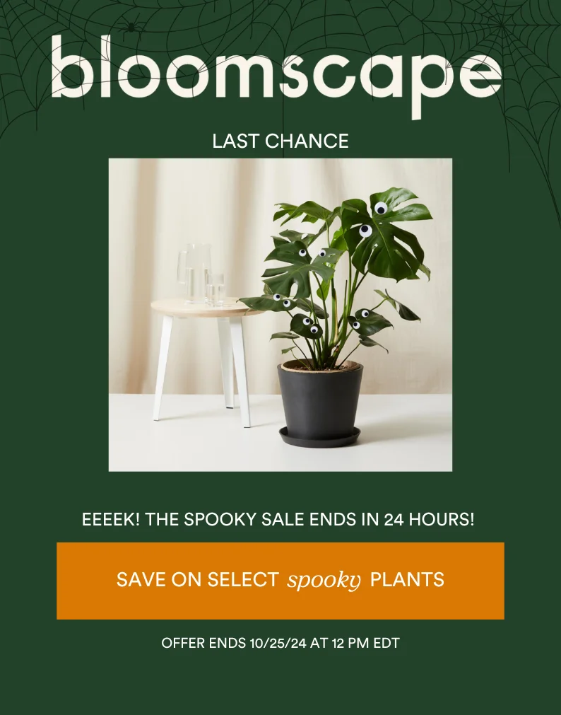 spooky plants sale ends in 24 hours