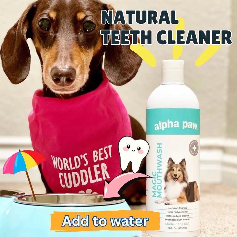 Better Doggie Dental Better Doggie Dental