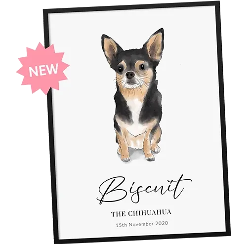 NEW! Hand Drawn Pet Portrait gif