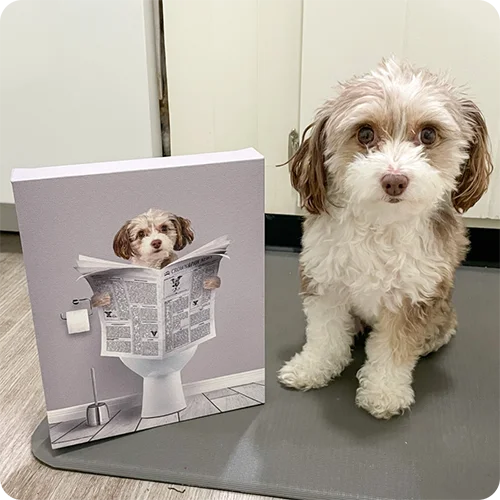 Restroom Pet Portrait