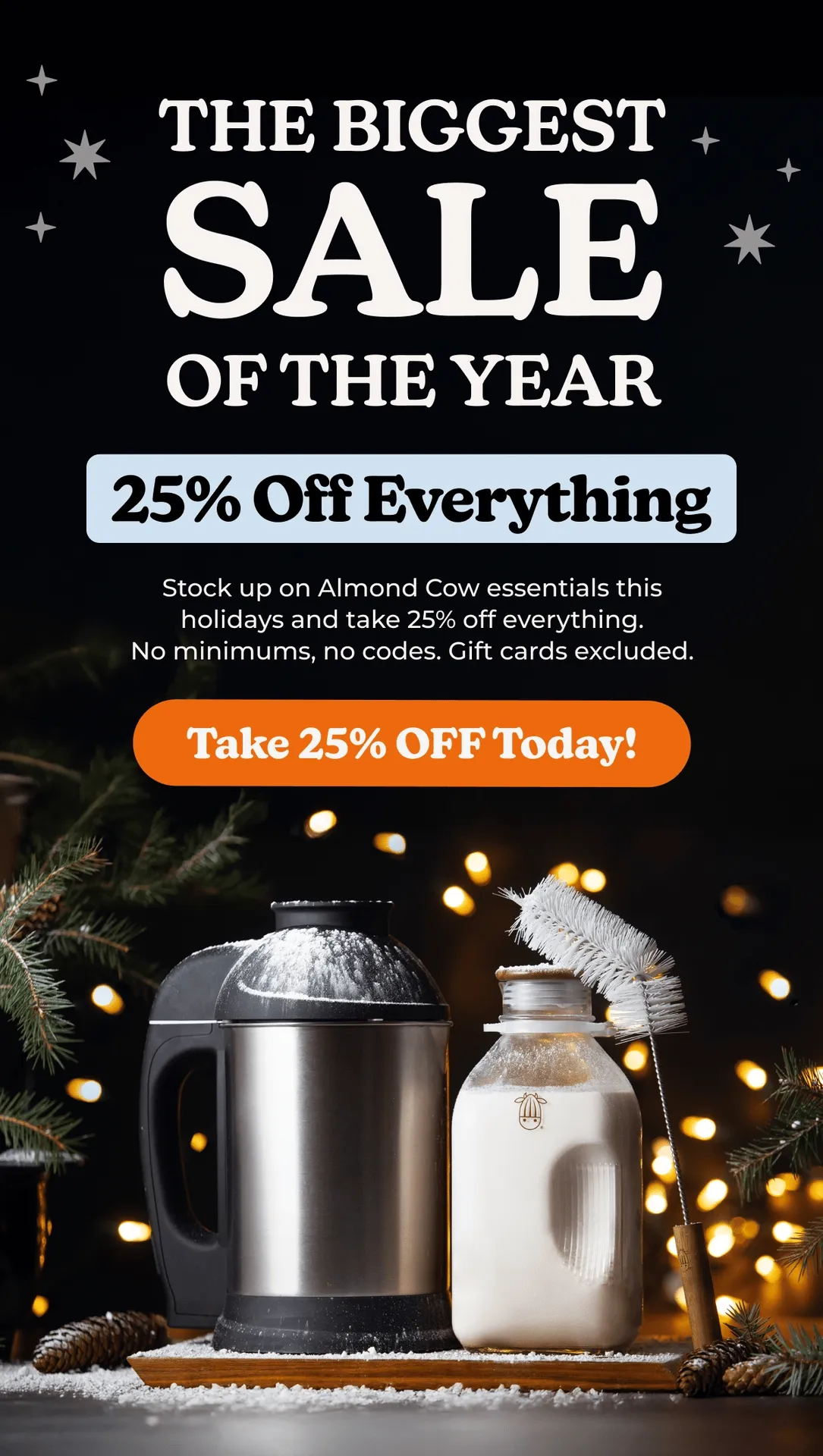 Biggest Sale of the Year! 25% Off Everything
