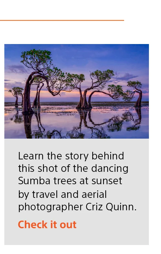 Learn the story behind this shot of the dancing Sumba trees at sunset by travel and aerial photographer Criz Quinn. Check it out