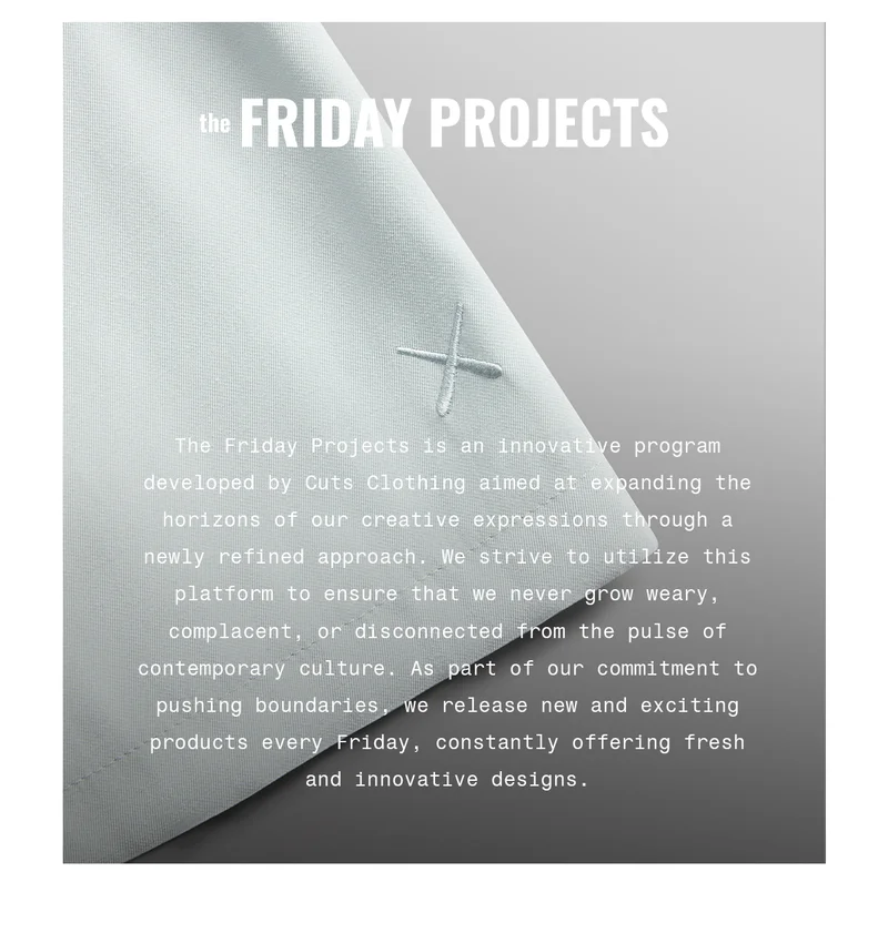 The Friday Projects