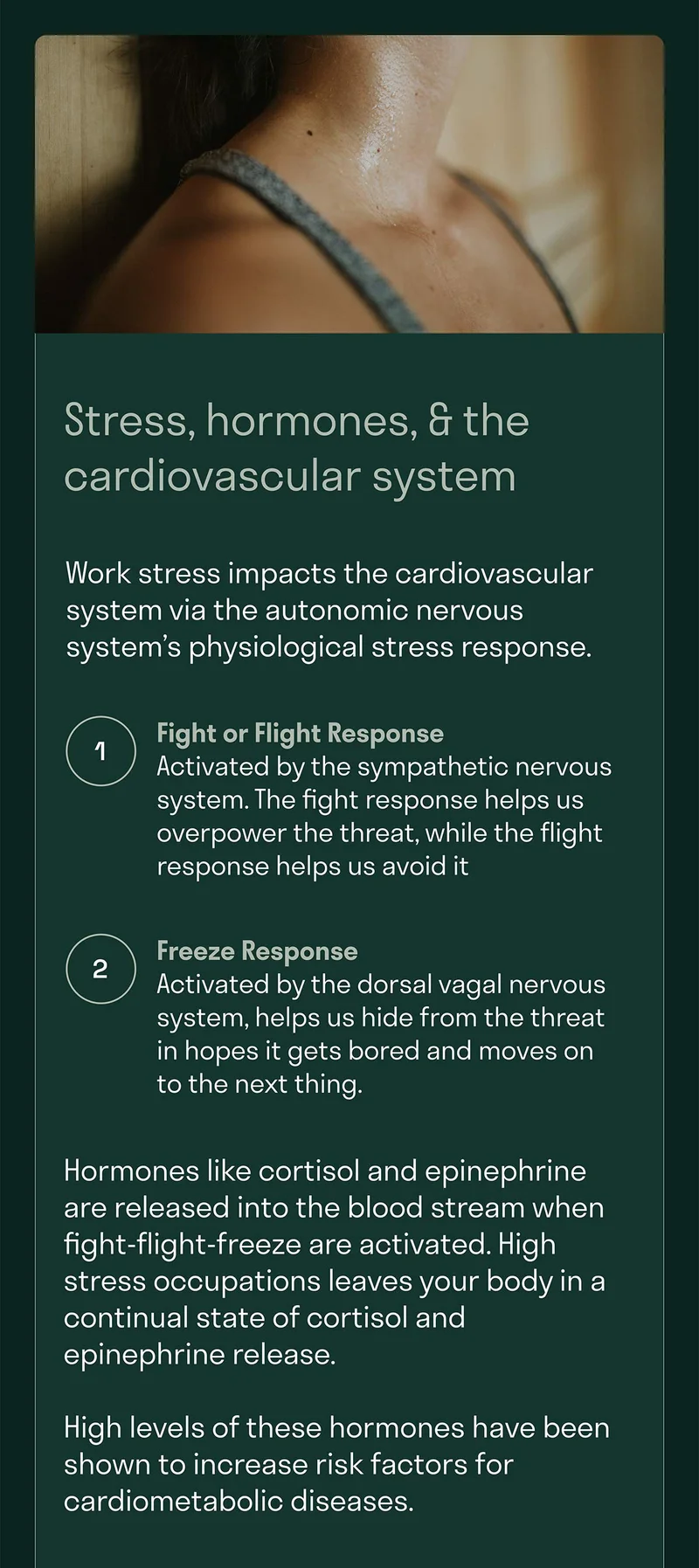 Work stress impacts the cardiovascular system via the autonomic nervous system’s physiological stress response.