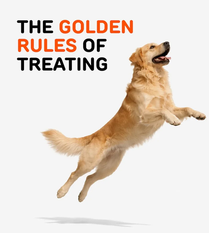 THE GOLDEN RULES OF TREATING