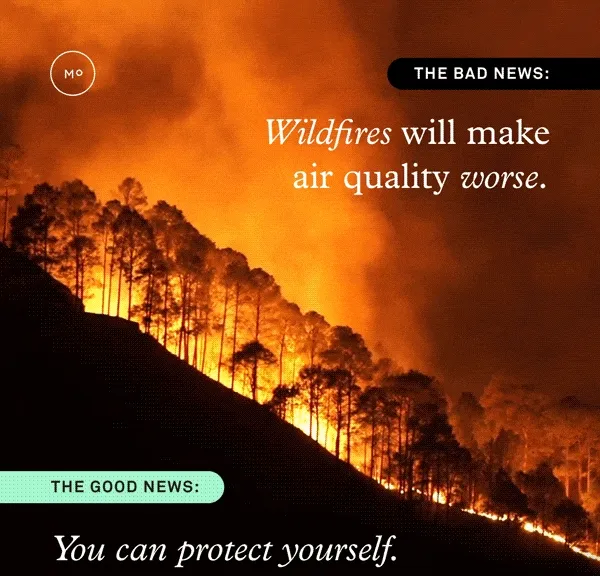 Wildfires will make air quality worse