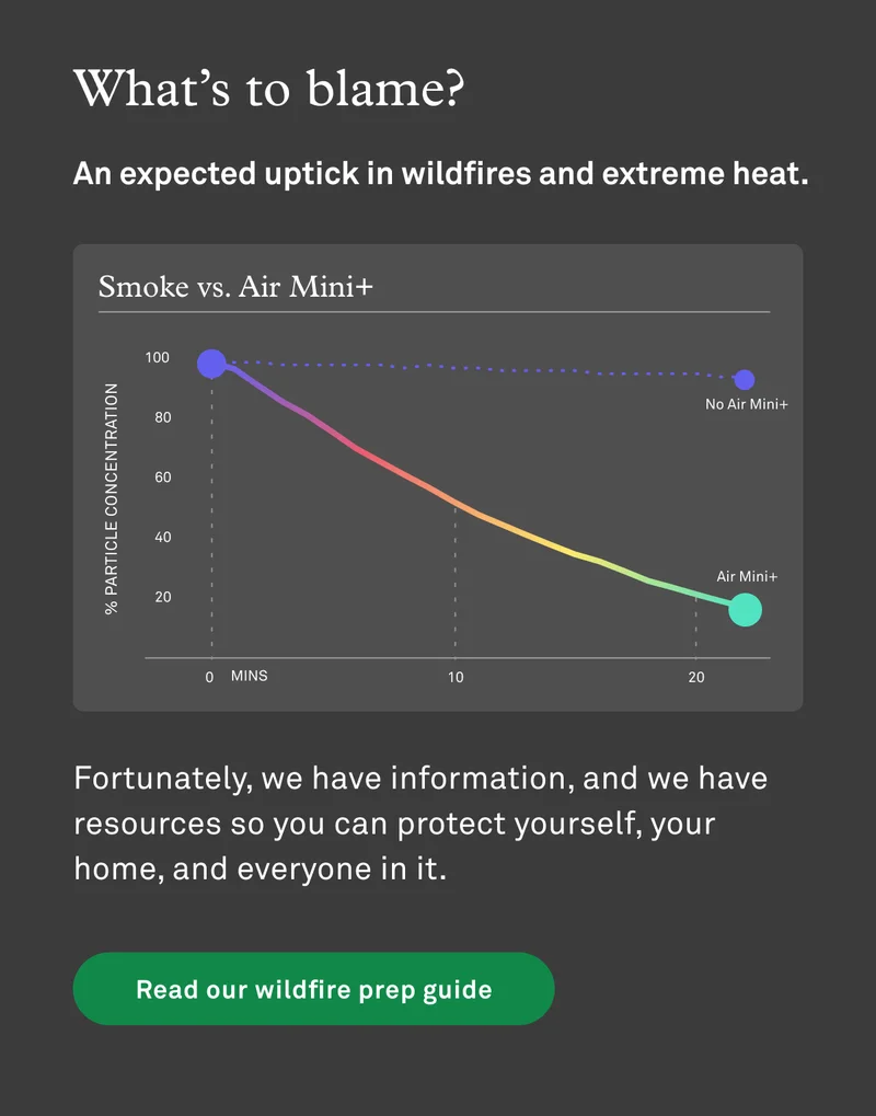 Read our wildfire prep guide