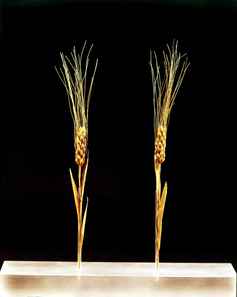 Two wheat stalks sculpted in gold