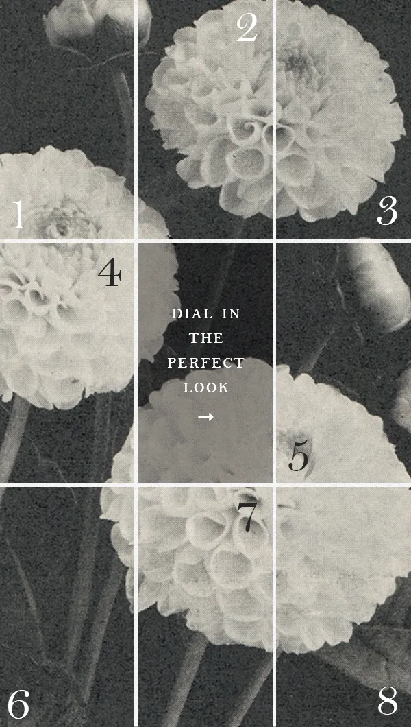 Dial In The Perfect Look