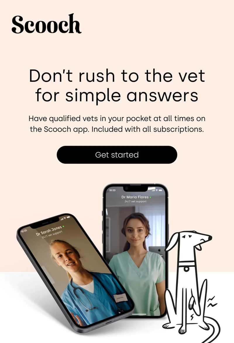 Don’t rush to the vet for simple answers - Get started