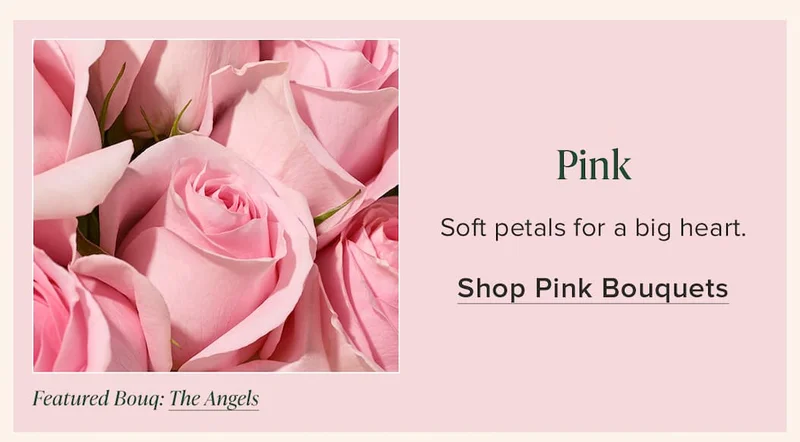 Pink: Soft petals for a big heart. Shop Pink Bouquets. Featured Bouq: The Angels