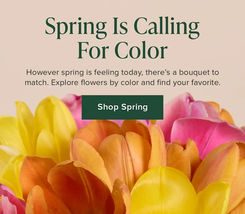 Spring Is Calling For Color. However spring is feeling today, there's a bouquet to match. Explore flowers by color and find your favorite. Shop Spring