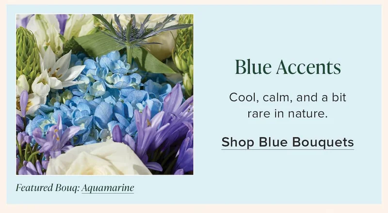 Blue Accents: Cool, calm, and a bit rare in nature. Shop Blue Bouquets. Featured Bouq:  Aquamarine.