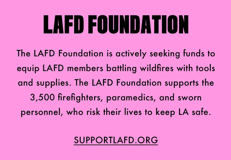DONATE TO SUPPORTLAFD.ORG