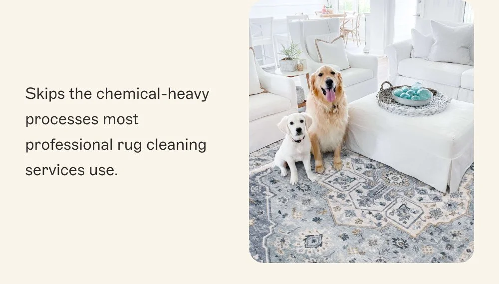 Skips the chemical-heavy processes most professional rug cleaning services use.