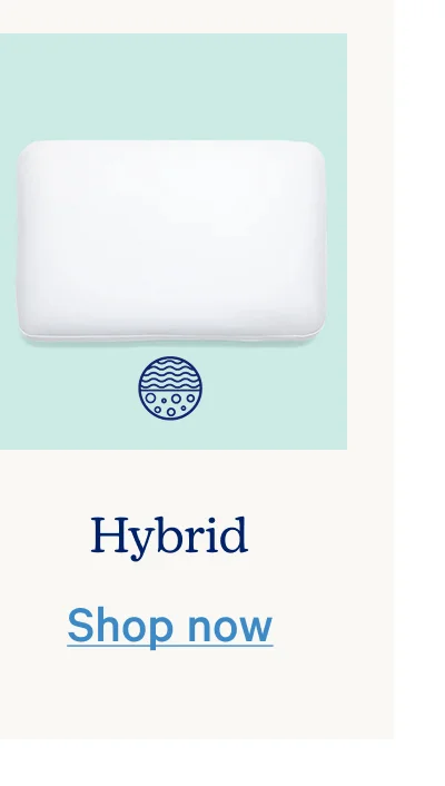 Hybrid