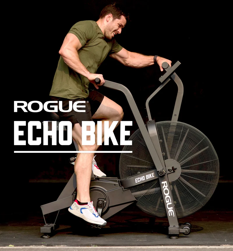 Rogue Echo Bike