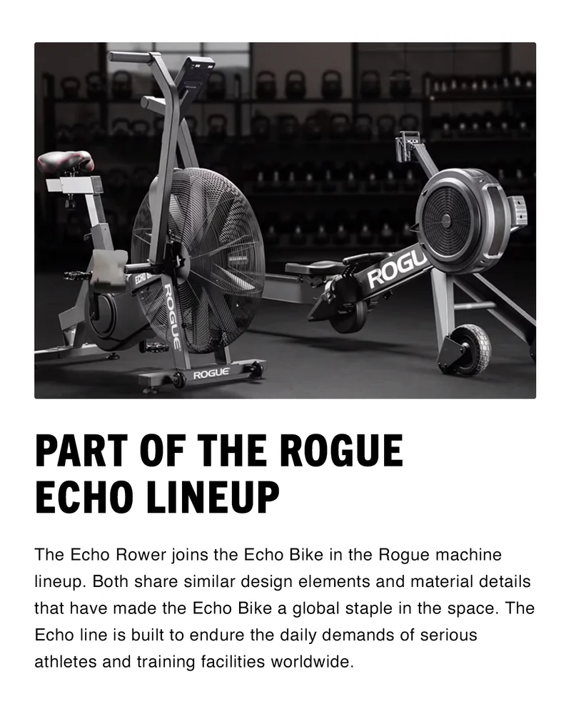 Part of The Rogue Echo Lineup