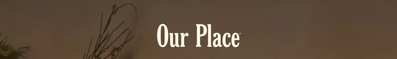 Our Place