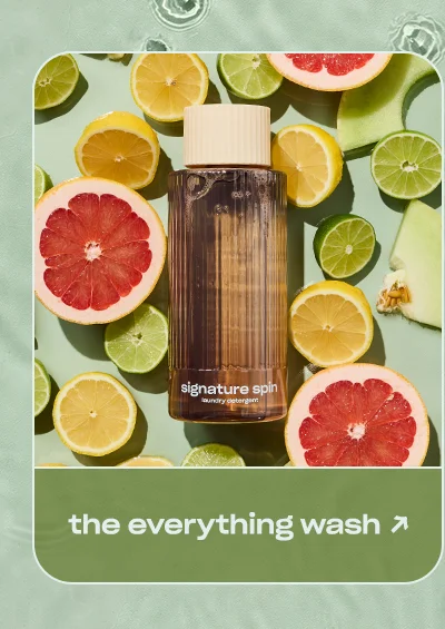 the everything wash →