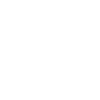Designmodo Icon