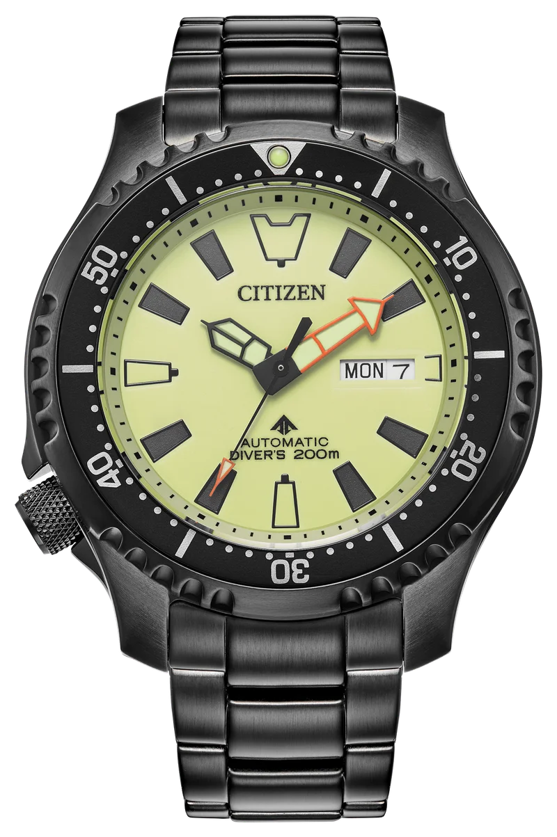 Image of Promaster Dive Automatic