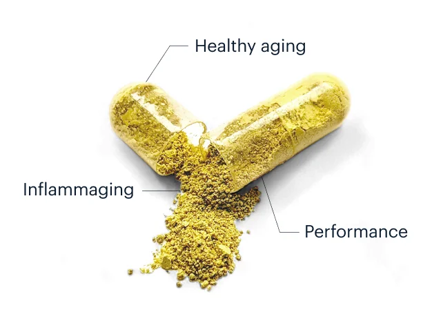 Healthy aging | Inflammaging | Performance