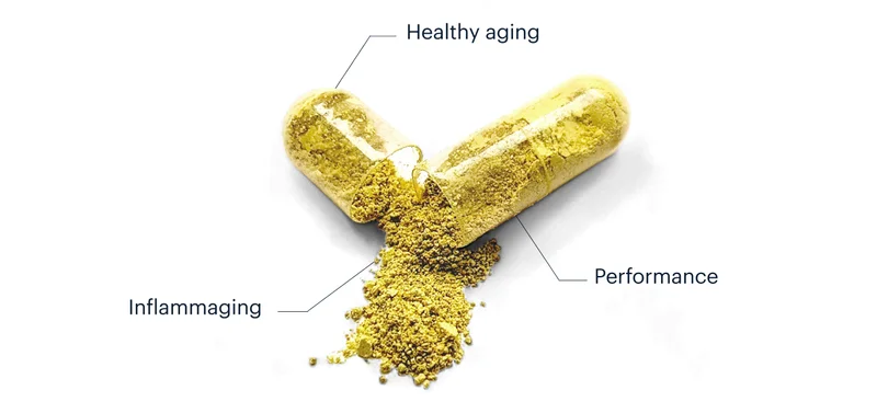 Healthy aging | Inflammaging | Performance
