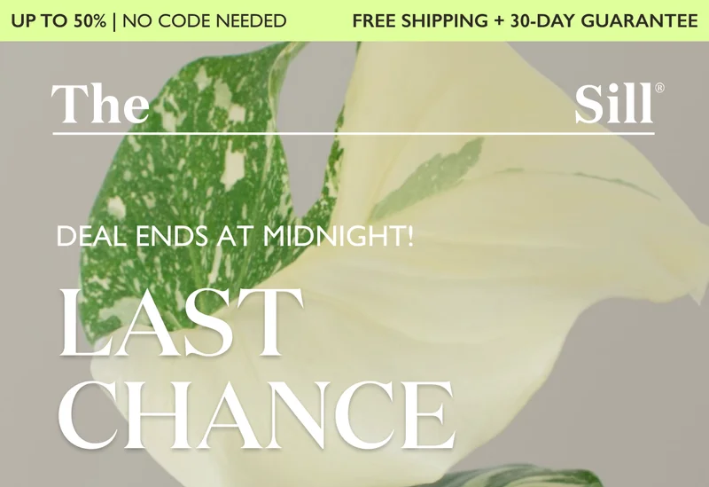 Today's Deal of the Day Ends at Midnight!