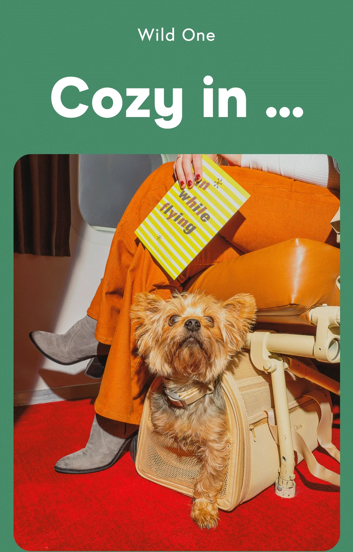 Cozy in...