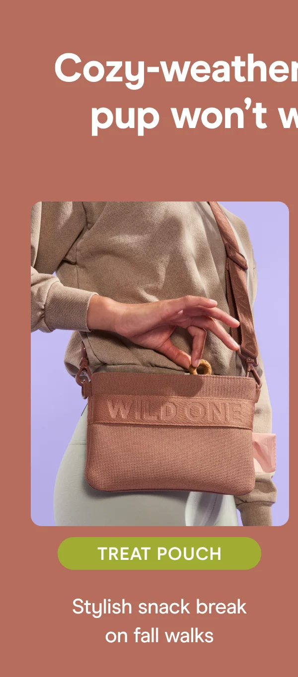Treat Pouch Stylish snack break on fall walks