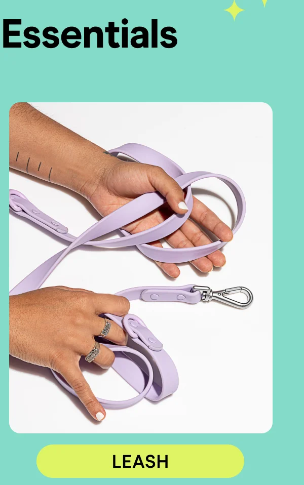 hand holding lilac leash