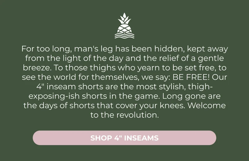 SHOP 4" INSEAMS