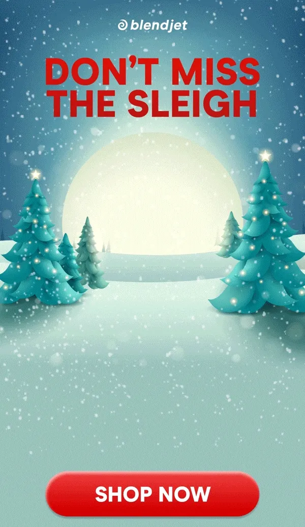 DON’T MISS THE SLEIGH