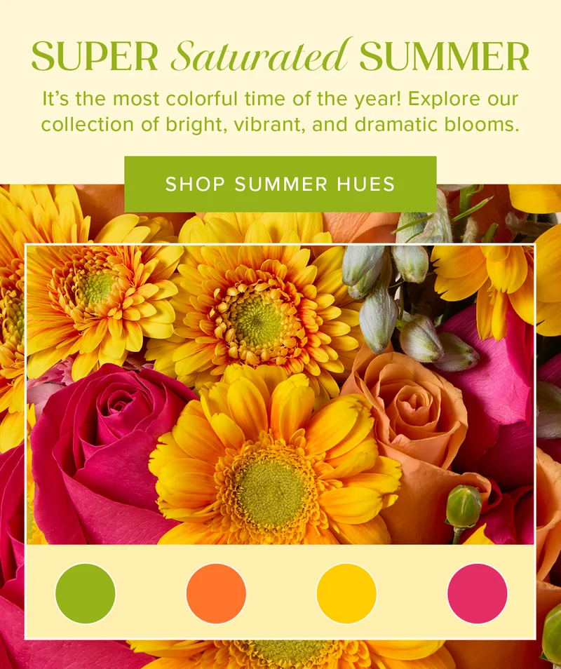 Make it a Super Saturated Summer! Itβs the most colorful time of the year! Explore our collection of bright, vibrant, and dramatic blooms. SHOP SUMMER HUES Make it a Super Saturated Summer! Itβs the most colorful time of the year! Explore our collection of bright, vibrant, and dramatic blooms. SHOP SUMMER HUES