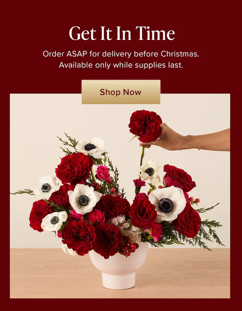 Get It In Time. Order ASAP for delivery before Christmas. Available only while supplies last. Shop Now.