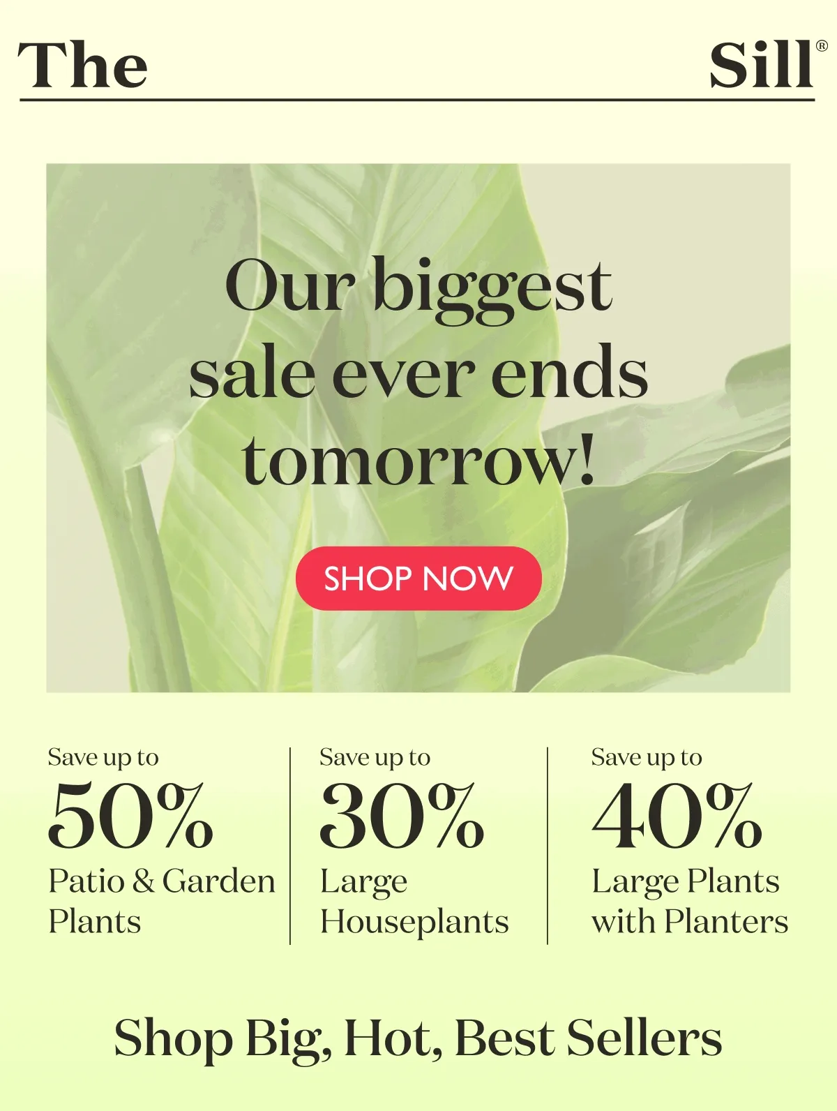Our biggest sale ever ends tomorrow! Shop Big, Hot, Best Sellers Up to 50% Off.