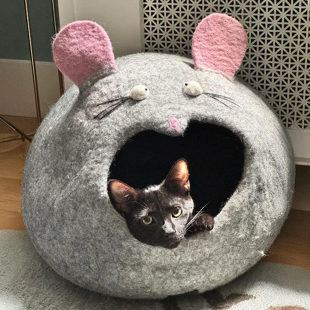 Tables Have Turned Mouse Shaped Cat House