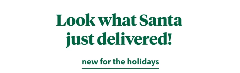 new for the holidays
