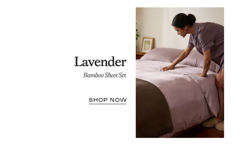 Shop Lavender