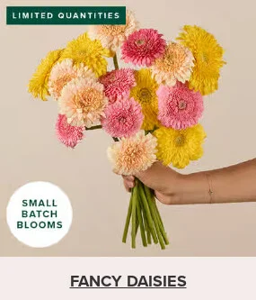 Flowers At a Great Price