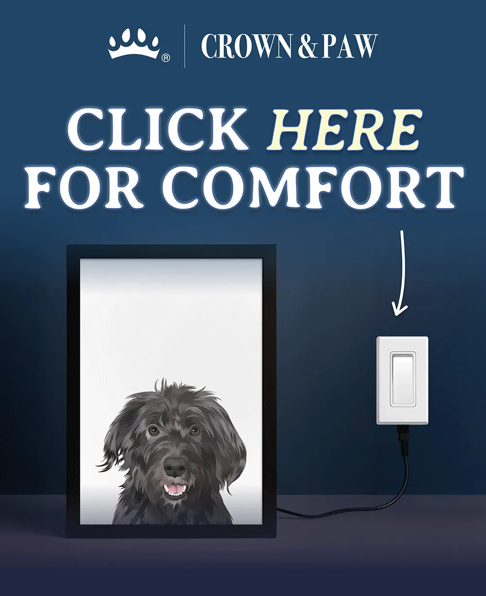 Click here for comfort (night light gif)